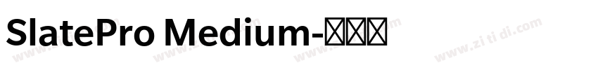 SlatePro Medium字体转换